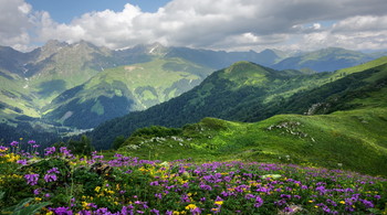 Summer in the mountains / ***