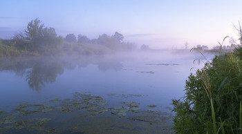 Foggy morning. / ***