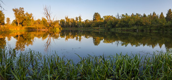 Evening on the lake / ***