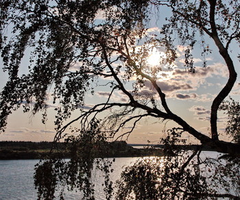 Evening / ***