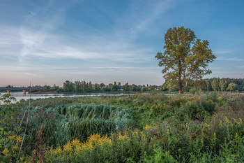 Encountering a new day. / ***