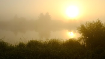 Fog at dawn. / ***