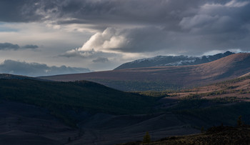 Altai landscape / ***