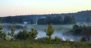 Summer morning. / ***