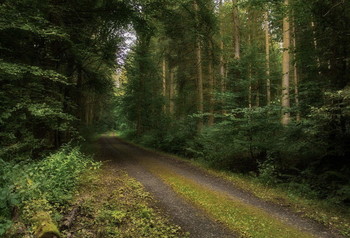 Morning freshness. / ***