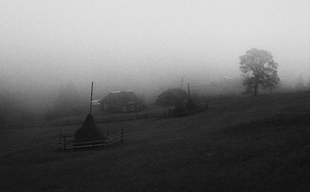 &nbsp; / KODAK T - MAX 400