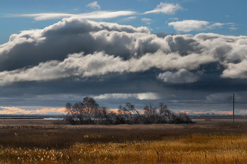 That autumn ... / ***