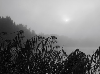 Farewell to summer. / ***