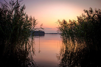 Summer evening. / ***