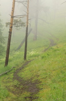 somewhere in the mountains / ***