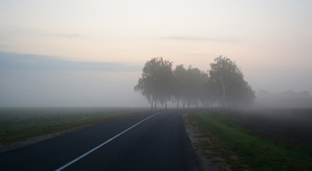 Misty road / ***