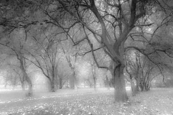 There, on unknown paths ... / ***