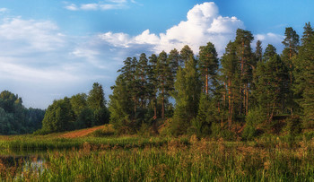 On the other side ... / ***