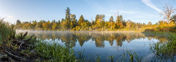 Morning on the lake / ***