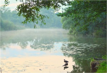 morning on the river / ***