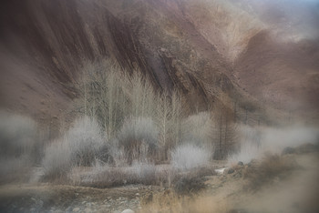 Altai landscape / ***