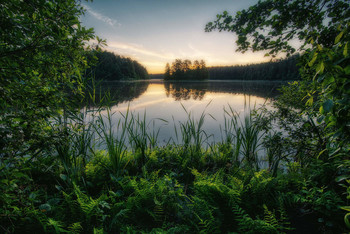 Dawn on the lake / ***