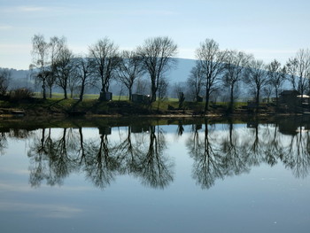 am Teich / windstilles Wetter im Februar brachten diese Spiegelung der Baumreihe.