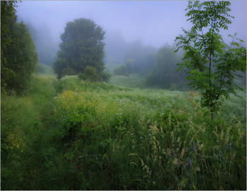Morning etude / ***