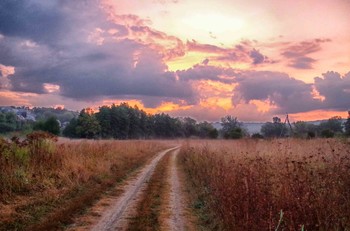 The road in the morning / ***