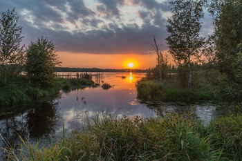 Evening on the lake / ***
