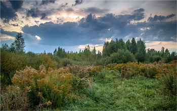 colors of autumn / ***