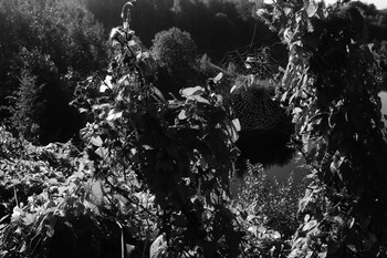 Signs of autumn. / ***