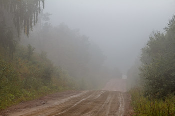 The smell of autumn / ***