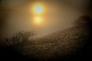 At dawn / ***