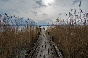 Der Steg zur Ruhebank / Ammersee im Winter