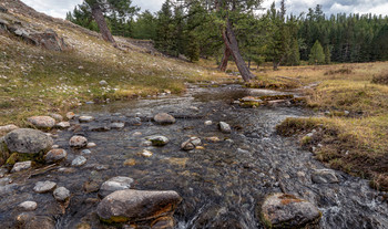 Mountain brook ... / ***