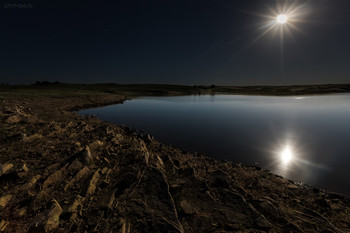In the moonlight / ***