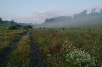 July morning / ***