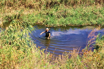 Water Treatments ... / ***