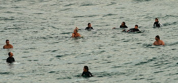 Water Treatments / ....