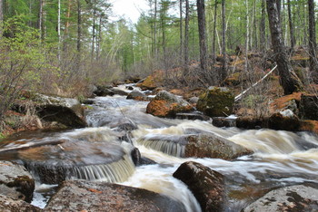 Water Treatments / ***