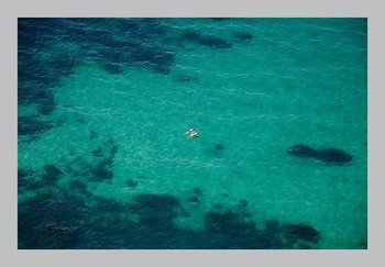 Water Treatments / ***