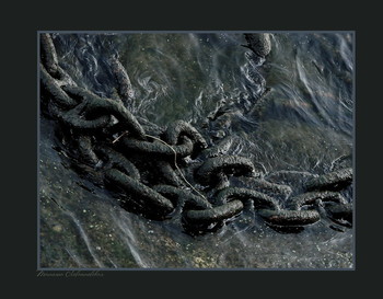 Water Treatments / ***