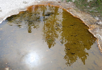 Reflection / ***