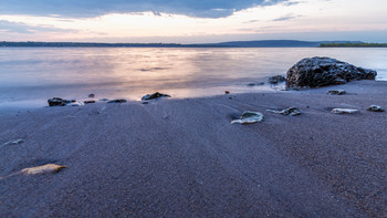 Evening on the Volga / ***