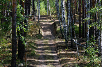 Velvet on the ground / ***