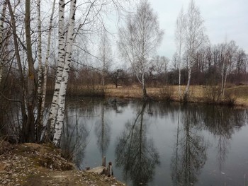 Spring Pond / ***