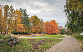 In the fall the park ... / ***
