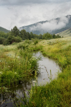 Overcast morning / ***