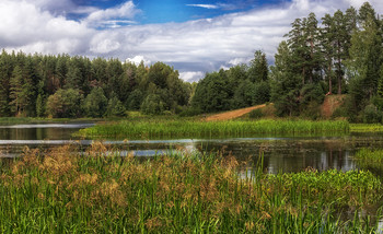 Nature / ***