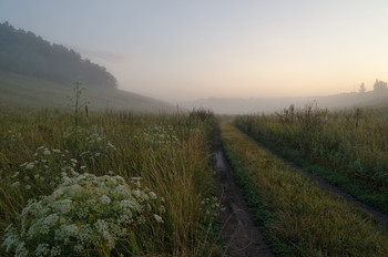 July morning / ***