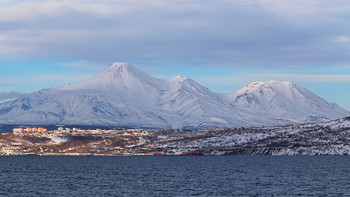 white mounts / ***
