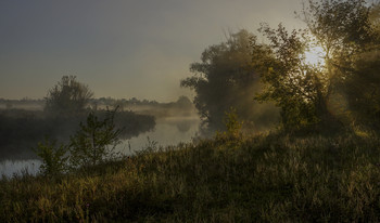 dawn / ***