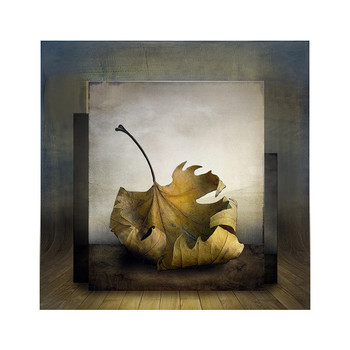 &nbsp; / Digital art