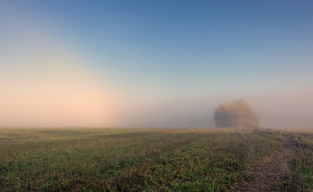 In the misty distance. / ***